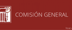 La Comisión General aborda las próximas tareas de la misión de la HOAC