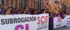 Andalucía: Continúa la lucha de los monitores escolares