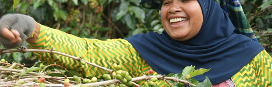 Comercio Justo | Éxito frente al desigual negocio del café y el cacao