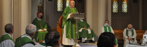 Homilía del cardenal Osoro en la Eucaristía del 75 Aniversario de la HOAC
